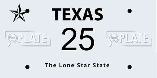 25 Texas License Plate