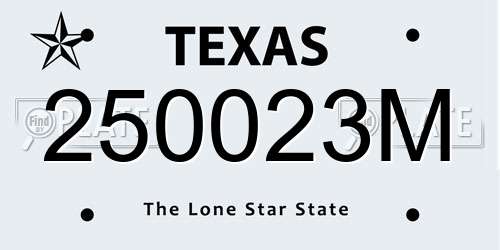 250023M Texas License Plate