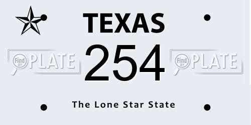 254 Texas License Plate