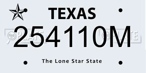 254110M Texas License Plate