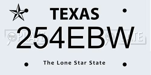 254EBW Texas License Plate