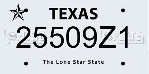 25509Z1 Texas License Plate