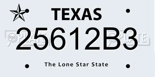 25612B3 Texas License Plate