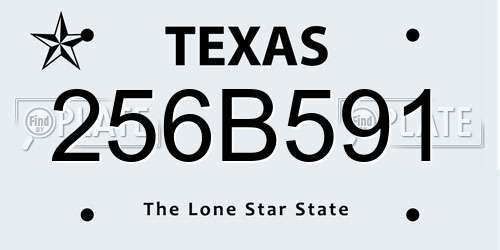 256B591 Texas License Plate