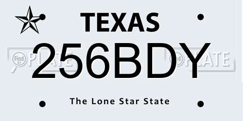 256BDY Texas License Plate