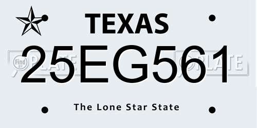25EG561 Texas License Plate