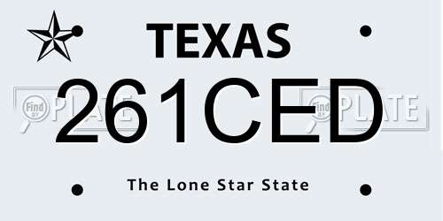 261CED Texas License Plate
