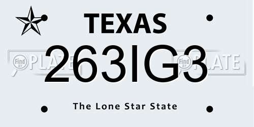 263IG3 Texas License Plate