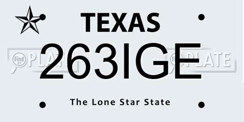263IGE Texas License Plate