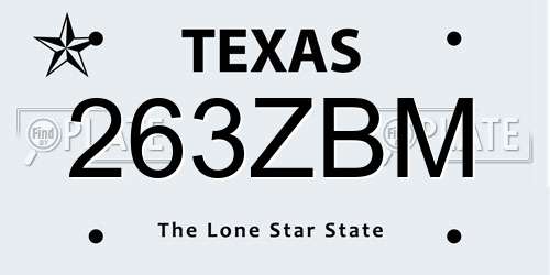 263ZBM Texas License Plate