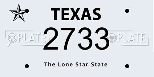 2733 Texas License Plate