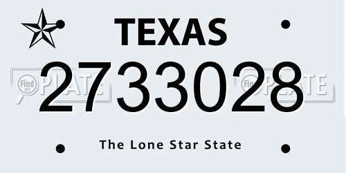 2733028 Texas License Plate