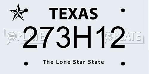 273H12 Texas License Plate