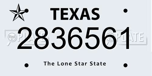 2836561 Texas License Plate