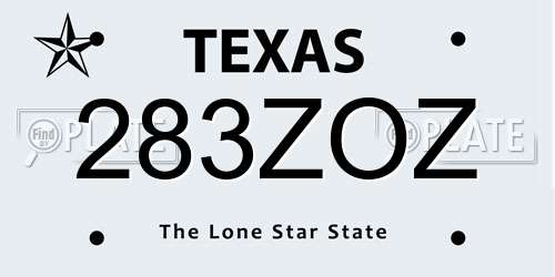 283ZOZ Texas License Plate