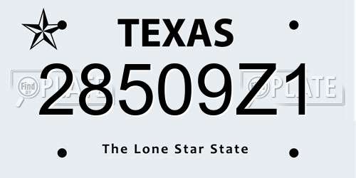 28509Z1 Texas License Plate