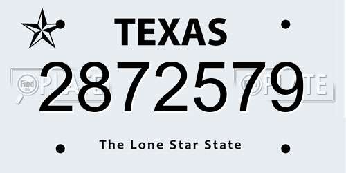 2872579 Texas License Plate