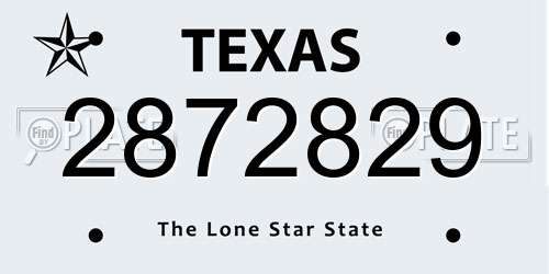 2872829 Texas License Plate