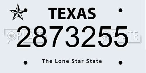 2873255 Texas License Plate