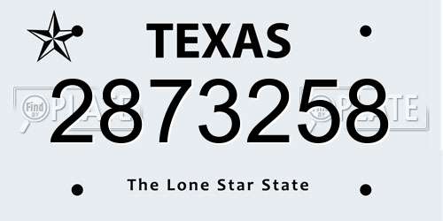 2873258 Texas License Plate