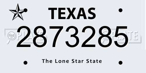 2873285 Texas License Plate