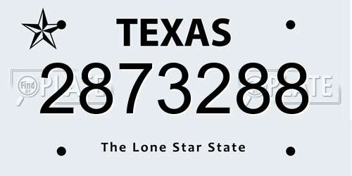 2873288 Texas License Plate