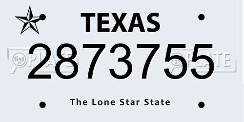 2873755 Texas License Plate