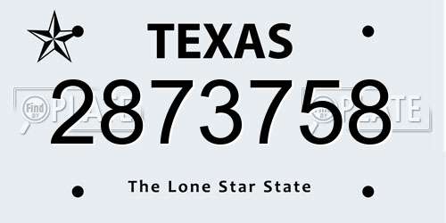 2873758 Texas License Plate