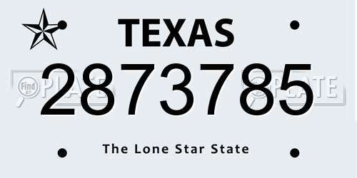 2873785 Texas License Plate
