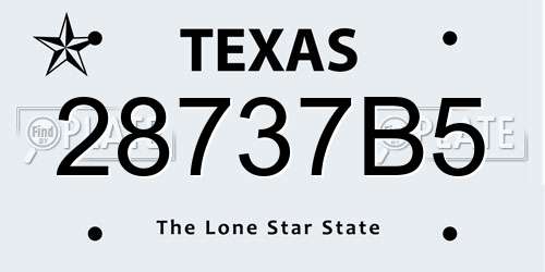 28737B5 Texas License Plate