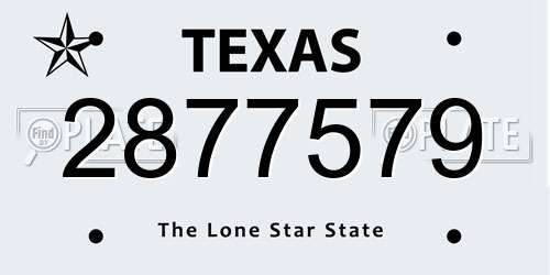 2877579 Texas License Plate