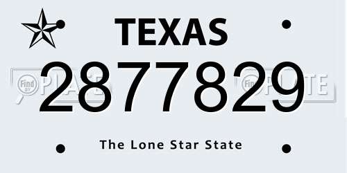 2877829 Texas License Plate