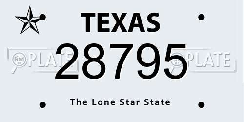 28795 Texas License Plate