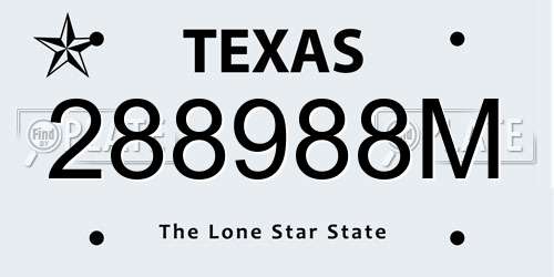 288988M Texas License Plate