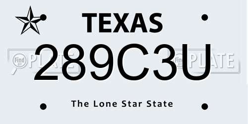 289C3U Texas License Plate