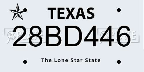 28BD446 Texas License Plate