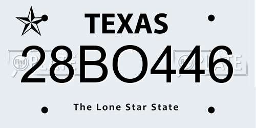 28BO446 Texas License Plate