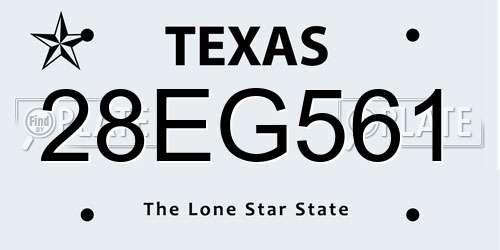 28EG561 Texas License Plate