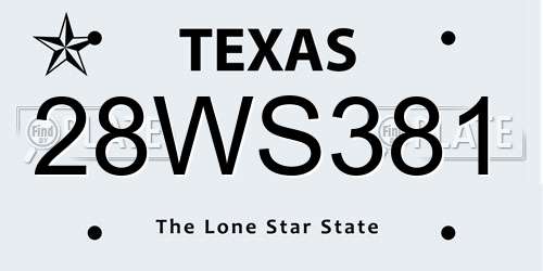 28WS381 Texas License Plate