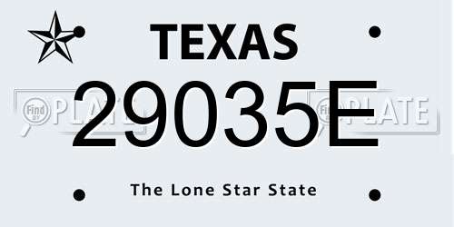 29035E Texas License Plate