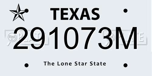 291073M Texas License Plate