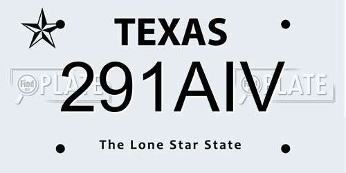 291AIV Texas License Plate
