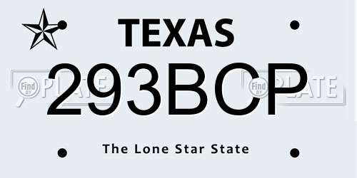 293BCP Texas License Plate