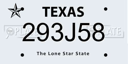 293J58 Texas License Plate