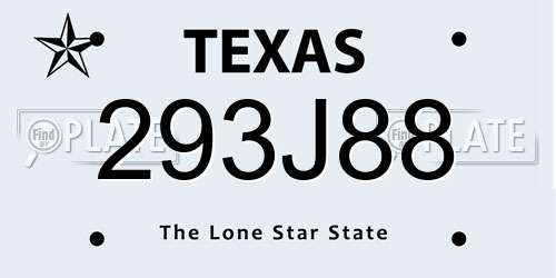 293J88 Texas License Plate