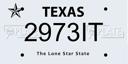 2973IT Texas License Plate