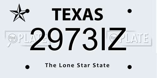 2973IZ Texas License Plate
