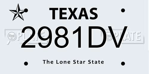 2981DV Texas License Plate