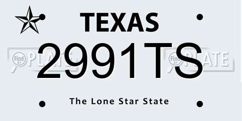 2991TS Texas License Plate