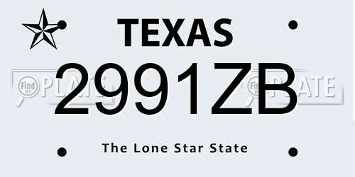 2991ZB Texas License Plate
